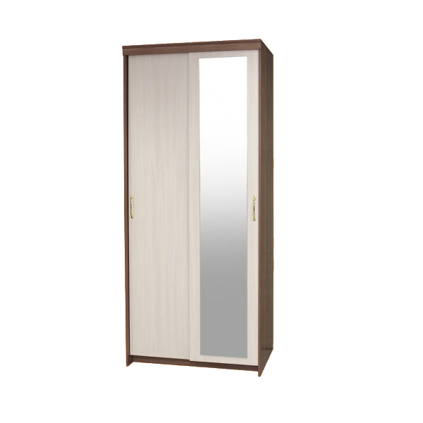 Шкаф-купе «Эконом» 2-х дверный<br>